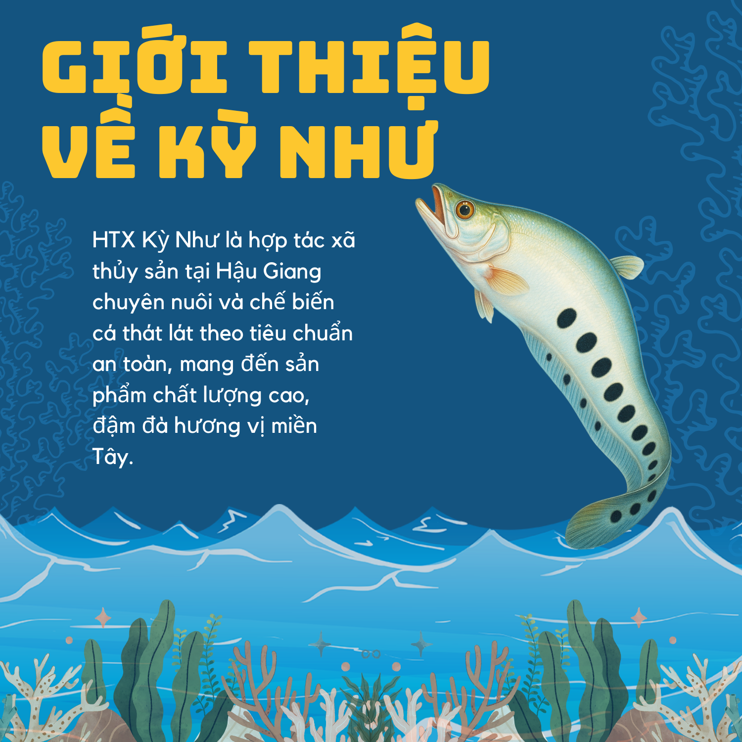 Hợp Tác Xã Kỳ Như